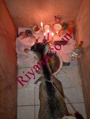 ∆+2349034922291$ I want to join real quick Occult for money ritual in Ghana