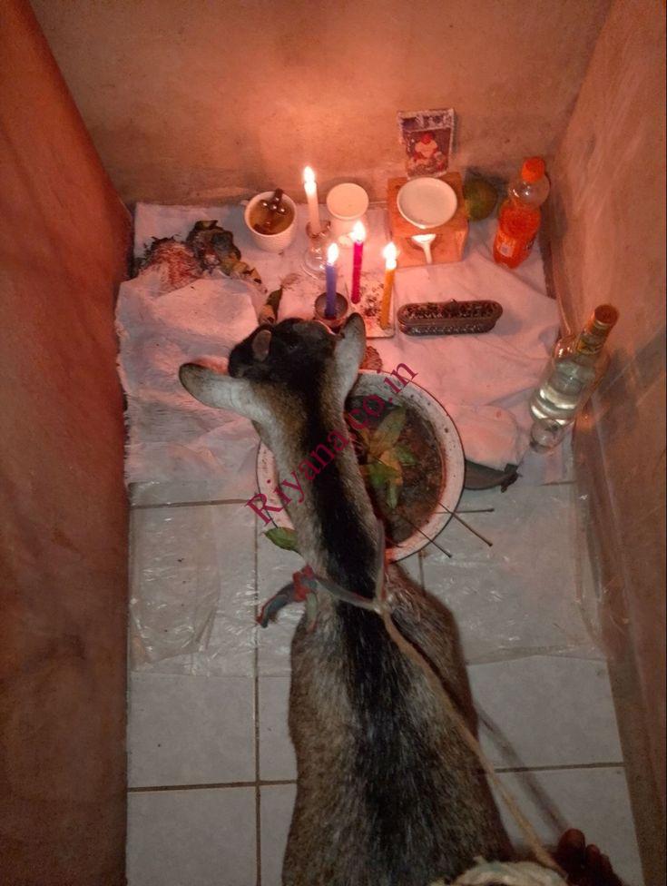 ✓+2349034922291 where to Join occult for ritual in Abuja